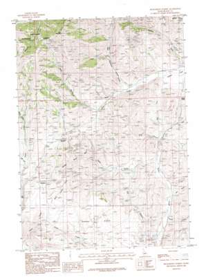 Richardson Summit USGS topographic map 43114d4