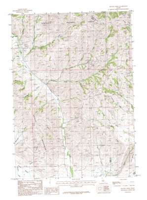 Beaver Creek USGS topographic map 43114d5