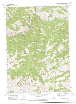 Boardman Creek USGS topographic map 43114e8