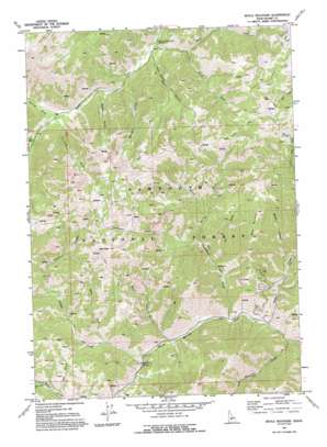 Boyle Mountain USGS topographic map 43114f5