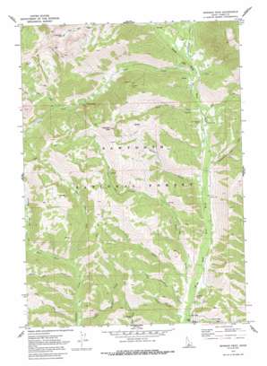 Newman Peak USGS topographic map 43114f8