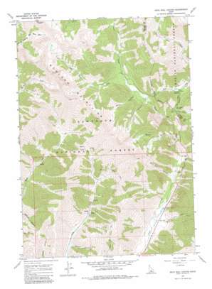 Rock Roll Canyon topo map