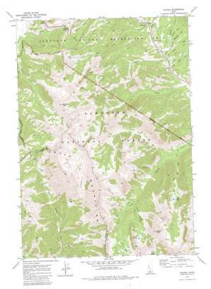 Galena USGS topographic map 43114g6