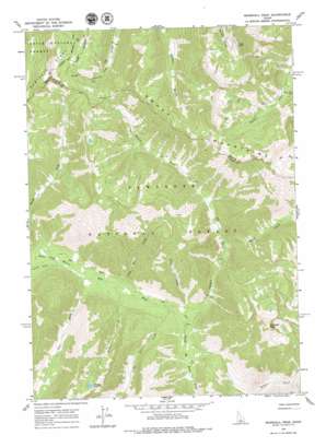 Marshall Peak USGS topographic map 43114g8