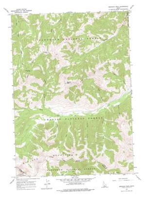 Meridian Peak USGS topographic map 43114h3