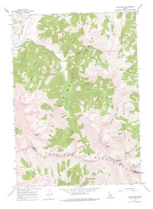 Ryan Peak USGS topographic map 43114h4