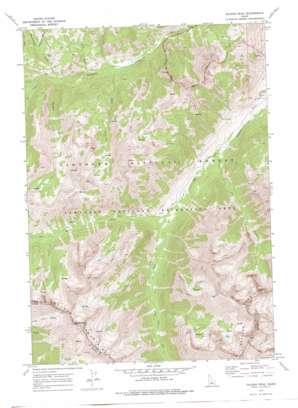 Galena Peak USGS topographic map 43114h5