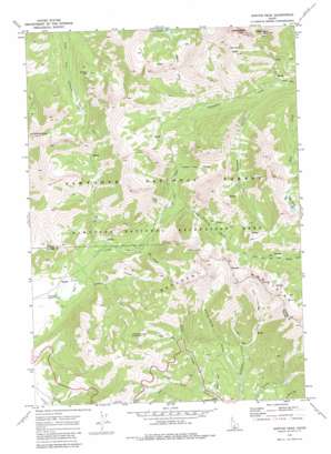 Horton Peak USGS topographic map 43114h6