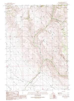 Syrup Creek topo map