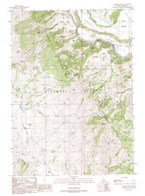 Danskin Peak USGS topographic map 43115d6