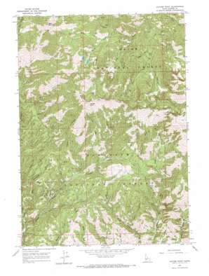Cayuse Point topo map
