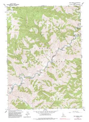 Twin Springs topo map