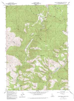 Warm Springs Point topo map