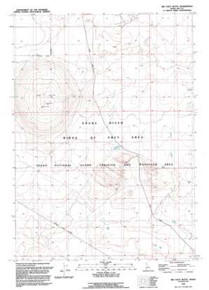 Big Foot Butte USGS topographic map 43116b2