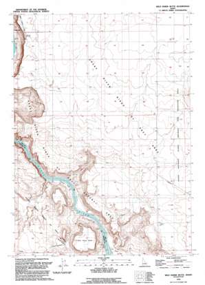 Wild Horse Butte USGS topographic map 43116b3