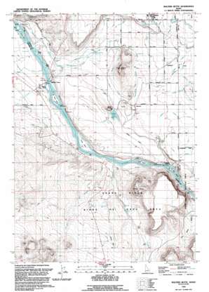 Walters Butte topo map