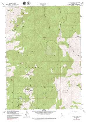Shafer Butte topo map