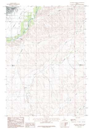 Southeast Emmett USGS topographic map 43116g4