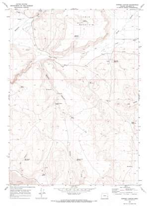 Downey Canyon USGS topographic map 43117a2