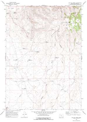 McCain Creek USGS topographic map 43117b3