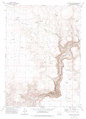 Rinehart Canyon USGS topographic map 43117b6