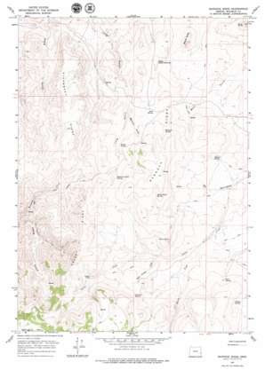 Bannock Ridge USGS topographic map 43117c2