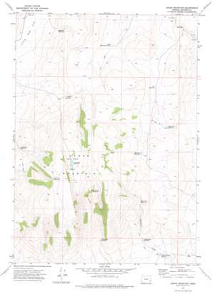 Cedar Mountain USGS topographic map 43117c6