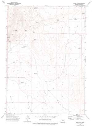 Burnt Flat USGS topographic map 43117c7