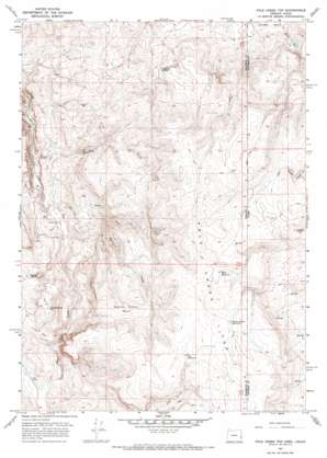 Pole Creek Top USGS topographic map 43117d1