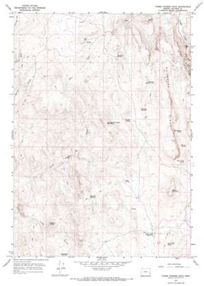 Owyhee Ridge USGS topographic map 43117d2