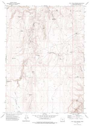 Wall Rock Springs USGS topographic map 43117d5