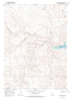 Twin Springs USGS topographic map 43117e4