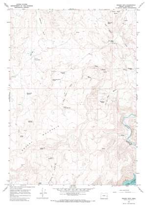 Grassy Mountain USGS topographic map 43117f3