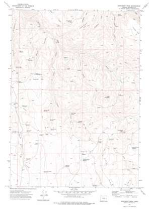 Monument Peak USGS topographic map 43117f8