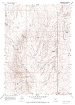 Double Mountain USGS topographic map 43117g3