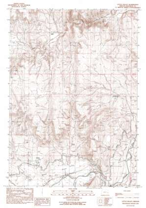 Little Valley topo map