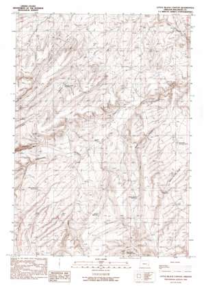 Little Black Canyon USGS topographic map 43117h7