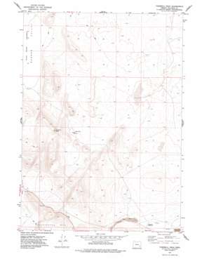 Burns USGS topographic map 43118a1