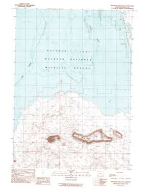 Malheur Lake East USGS topographic map 43118c6