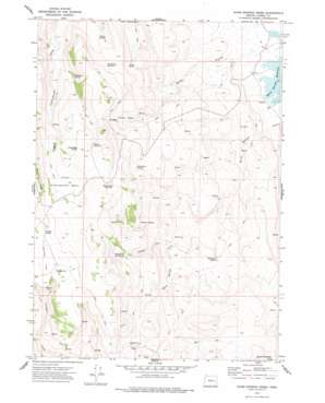 Warm Springs Creek USGS topographic map 43118e3