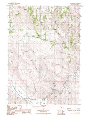 Stemler Ridge USGS topographic map 43118g1