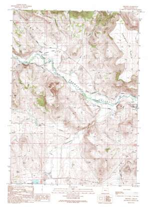 Drewsey topo map
