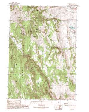 Craft Point topo map
