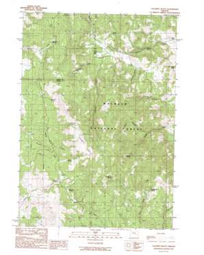 Calamity Butte topo map