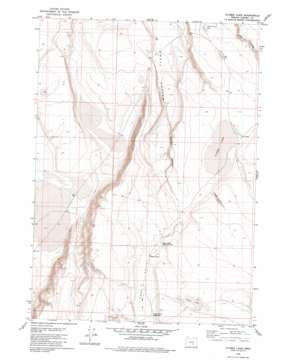 Flybee Lake topo map