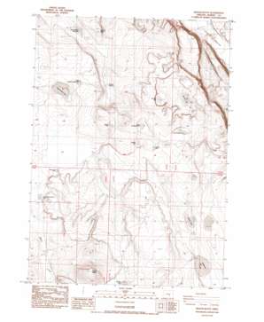 Wilson Butte topo map