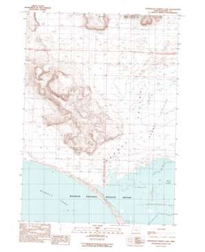 Northeast Harney Lake topo map
