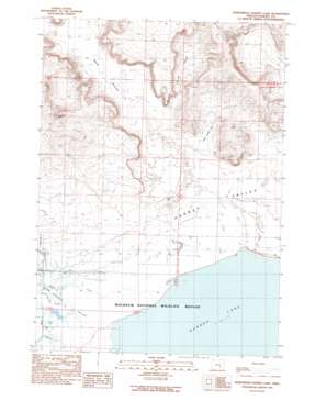 Northwest Harney Lake topo map