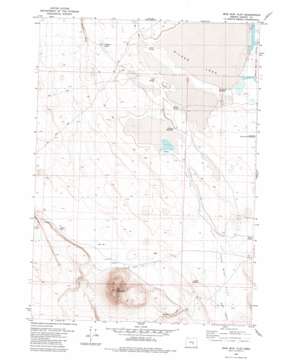 Iron Mountain Flat USGS topographic map 43119c4