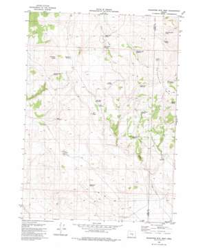 Wagontire Mountain West topo map